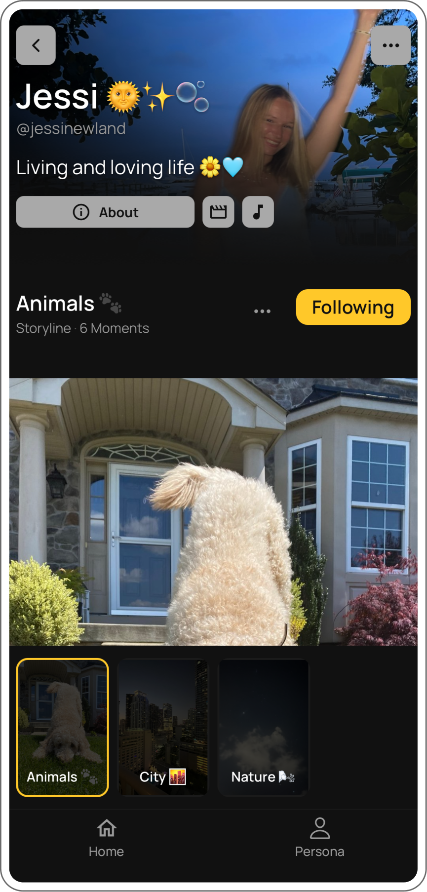 Jessi’s Persona, open to her Animals Storyline: a fluffy white dog in front of a house, with her City and Nature Storylines below.